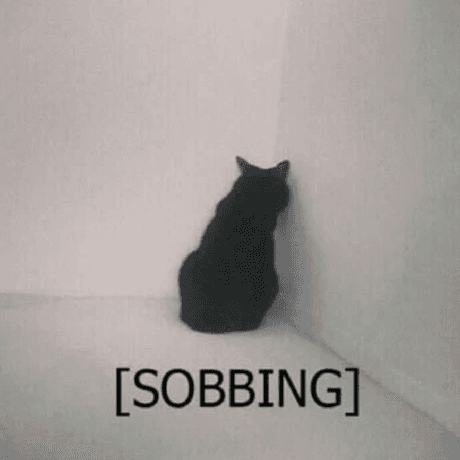 A picture of Sobbing Cat